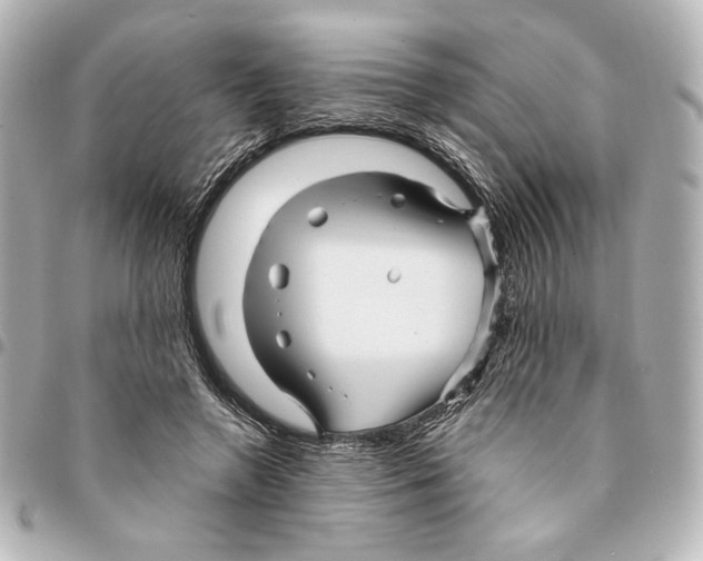 X0000094950546200712271659