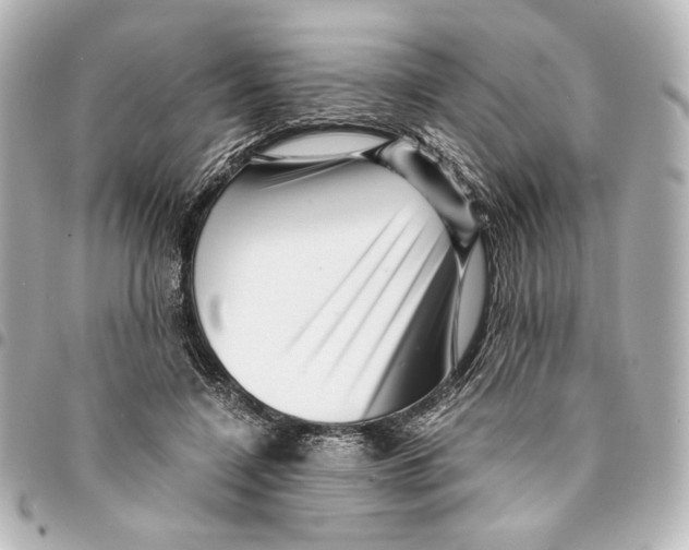 X0000094950548200712271700