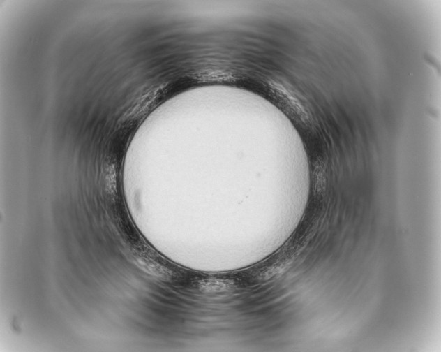 X0000094950549200712271700