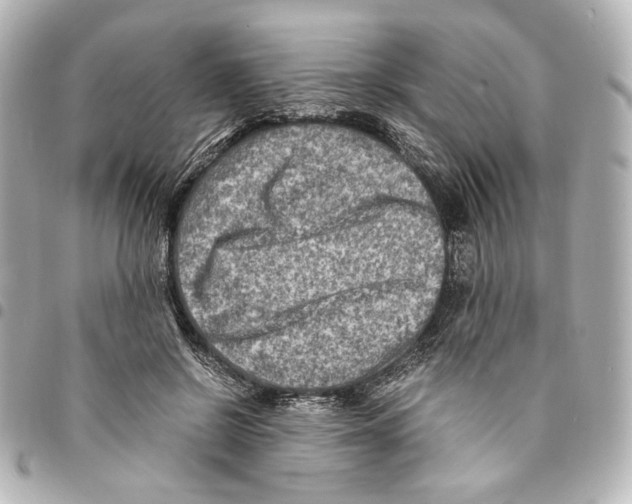 X0000094950550200712271700