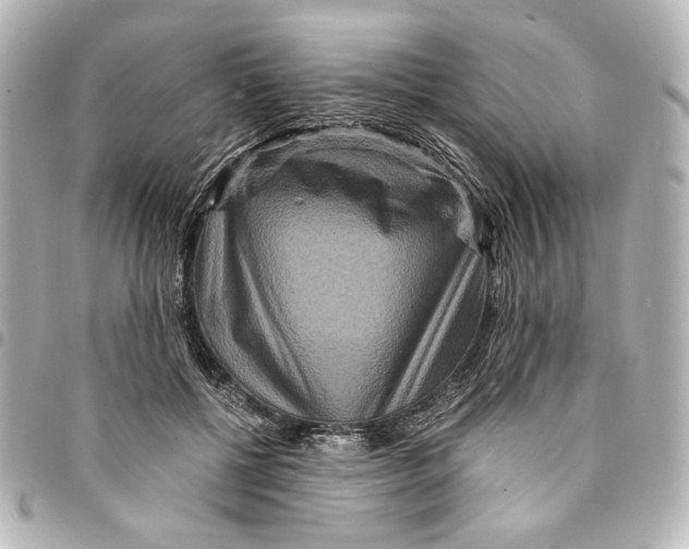 X0000094950552200712271700