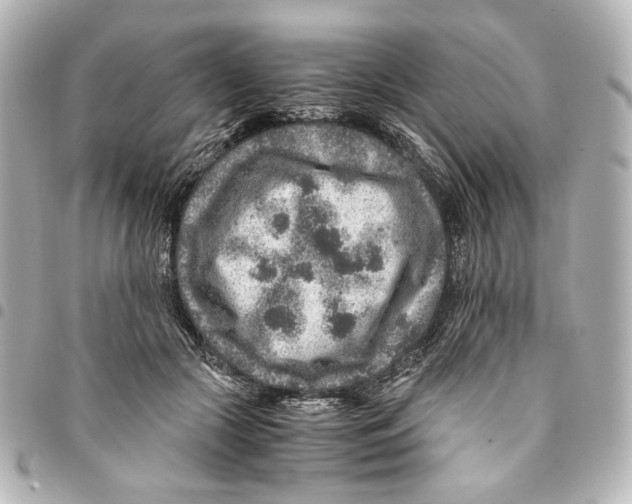 X0000094950553200712271700