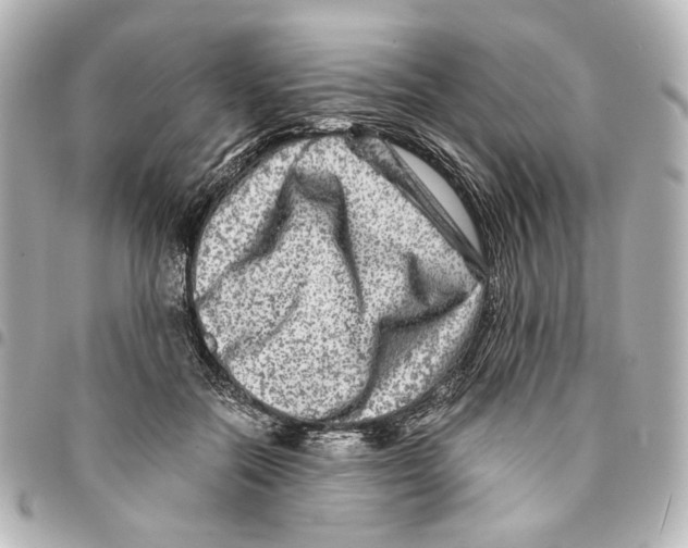 X0000094950554200712271700