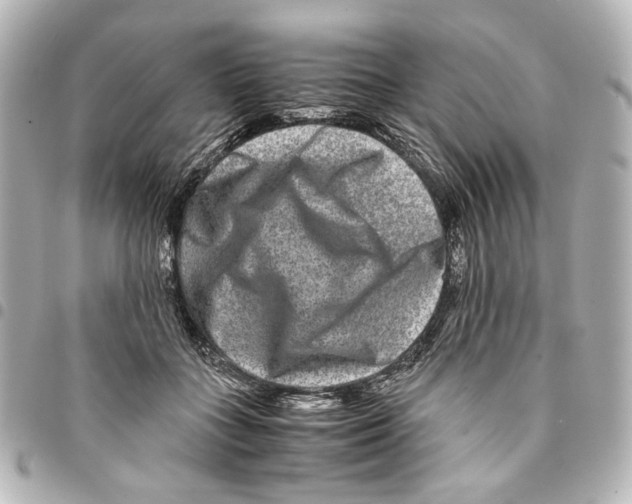 X0000094950555200712271700