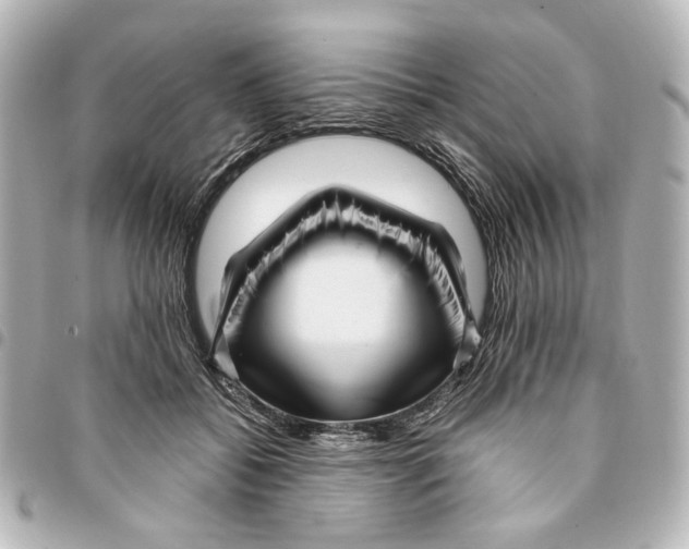 X0000094950556200712271700