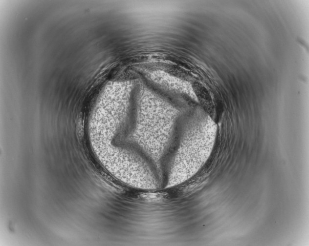 X0000094950558200712271700