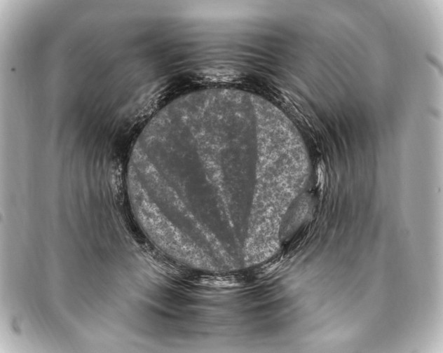 X0000094950559200712271700