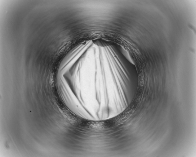 X0000094950560200712271700