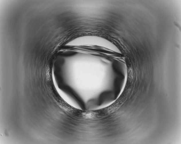 X0000094950564200712271700