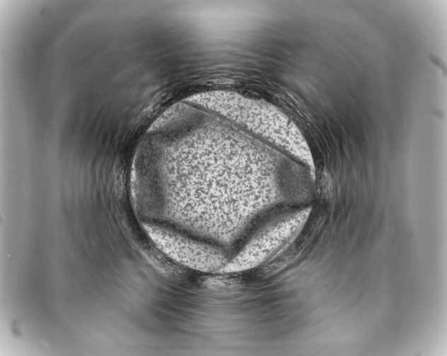 X0000094950568200712271700