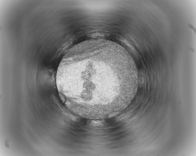 X0000094950573200712271700