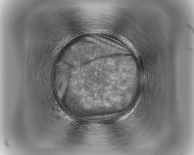 X0000094950577200712271659