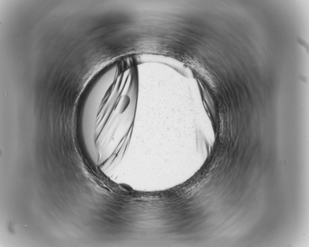 X0000094950580200712271659