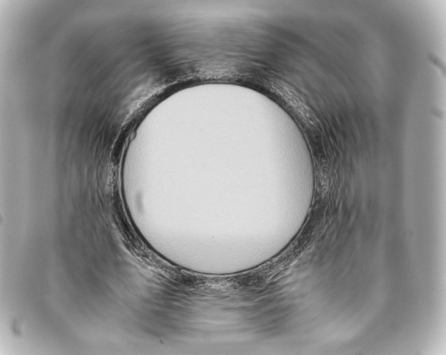 X0000094950583200712271659