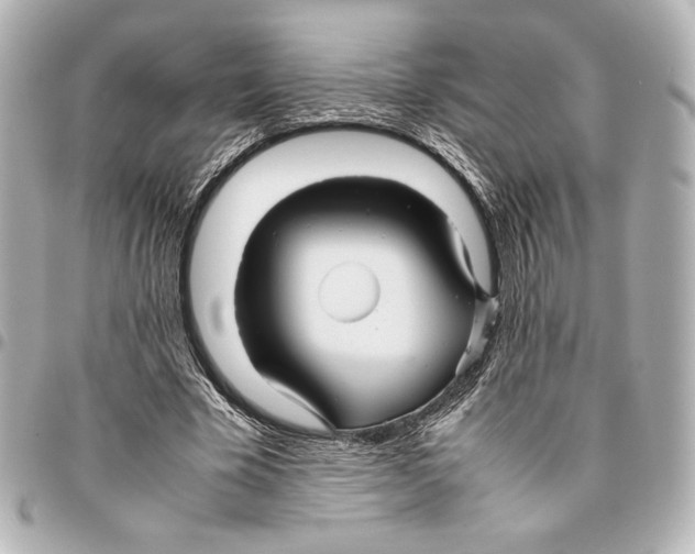 X0000094950585200712271659