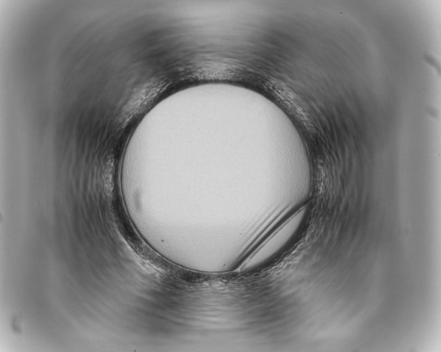 X0000094950586200712271659