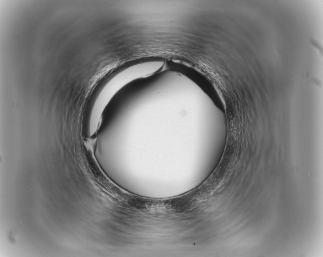 X0000094950587200712271659