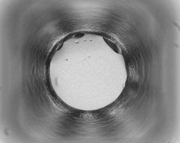 X0000094950588200712271659