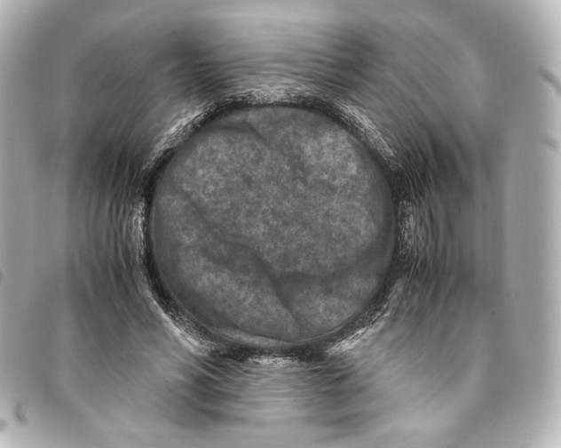 X0000094950590200712271659