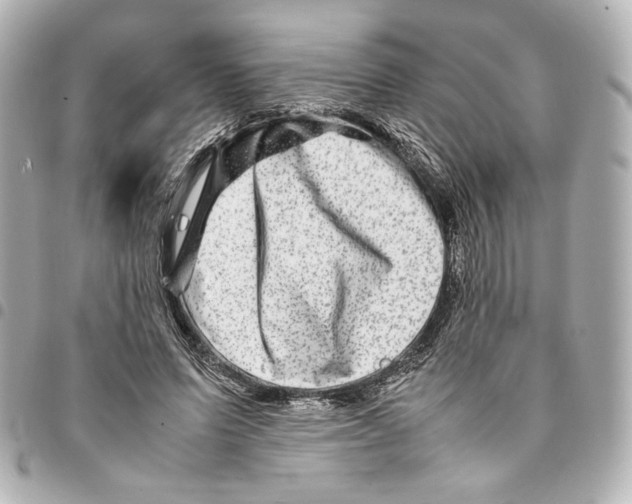 X0000094950591200712271659