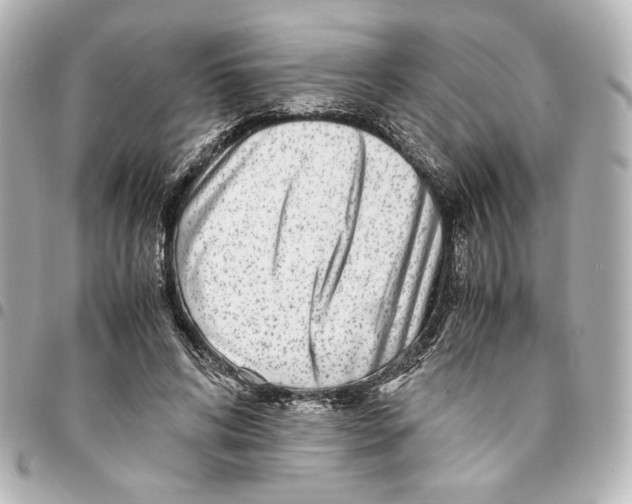 X0000094950592200712271659