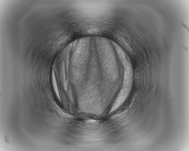 X0000094950593200712271659