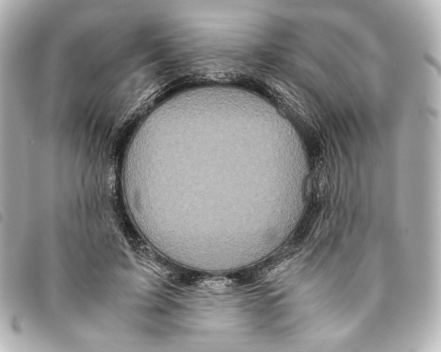 X0000094950595200712271659