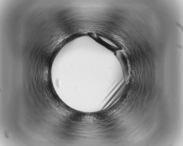 X0000094950596200712271659