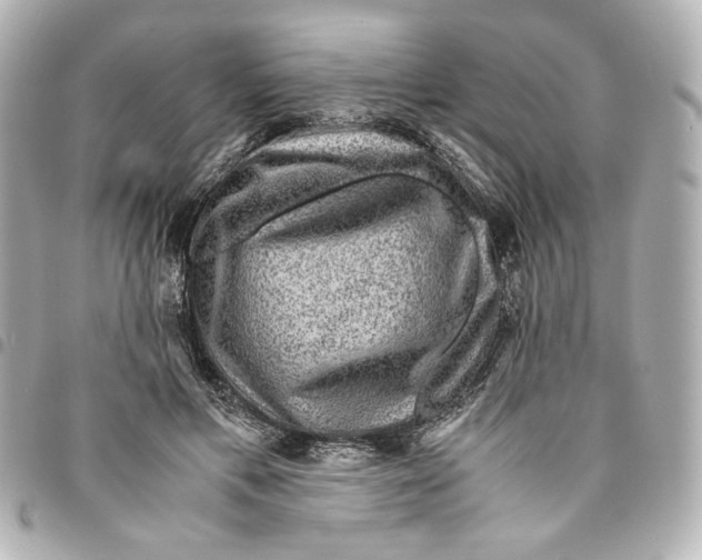 X0000094950597200712271659