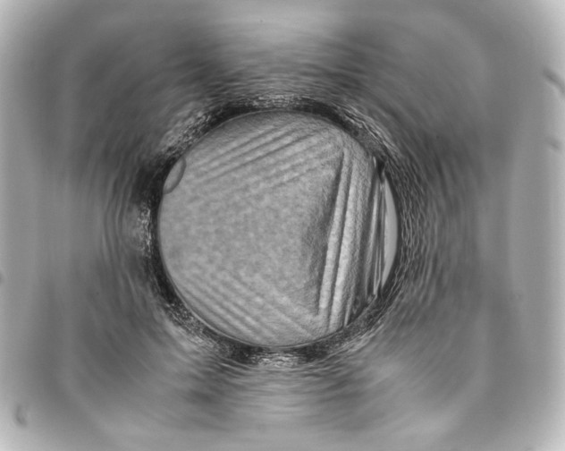 X0000094950599200712271659