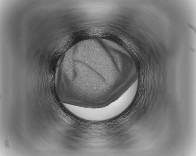 X0000094950601200712271659