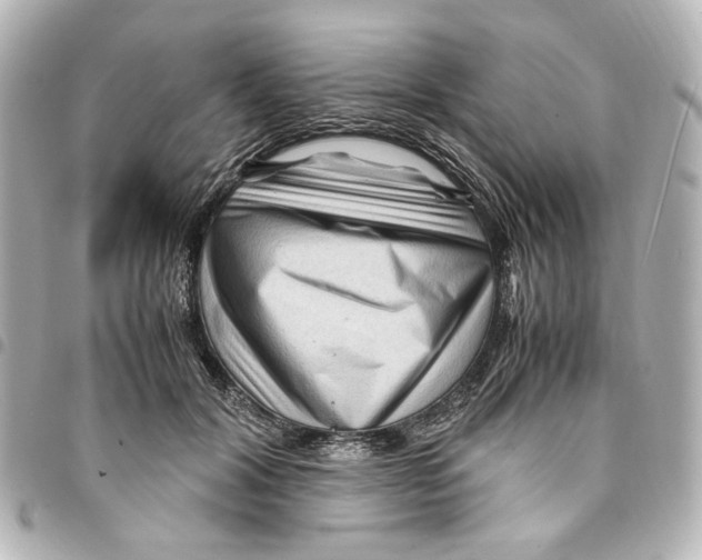 X0000094950604200712271659