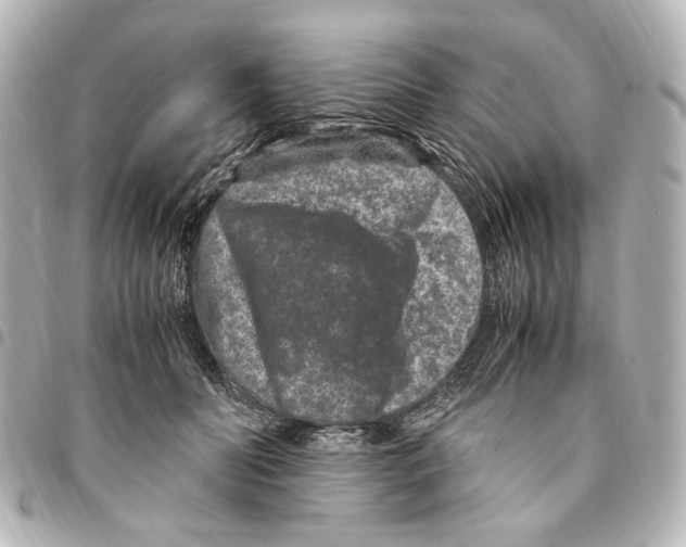 X0000094950606200712271659