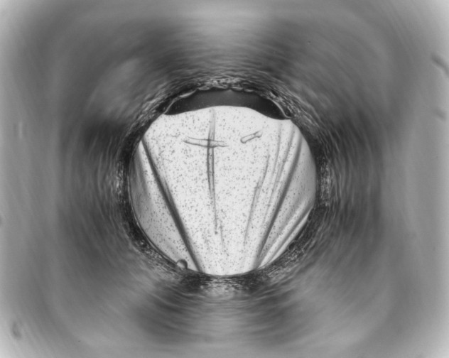 X0000094950608200712271659