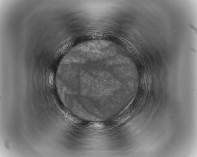 X0000094950610200712271659