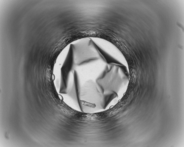 X0000094950612200712271659