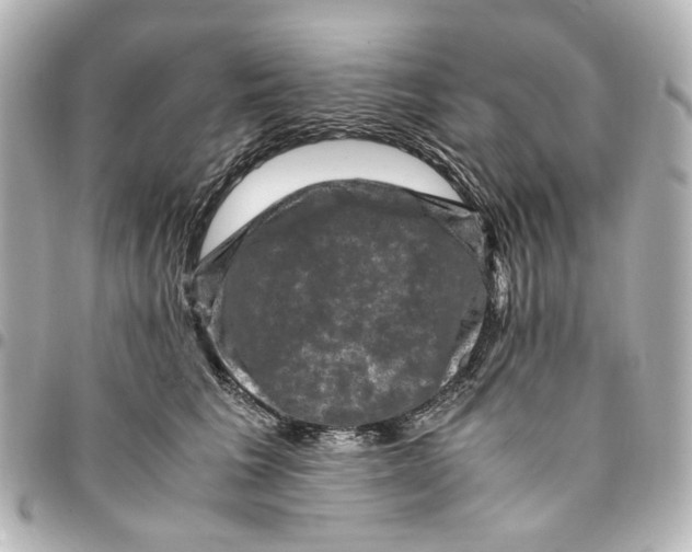 X0000094950613200712271659