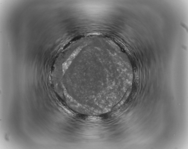 X0000094950617200712271659