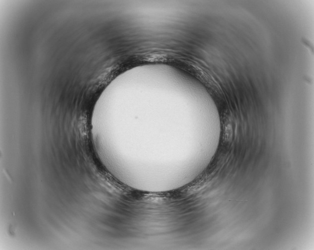 X0000094950620200712271658