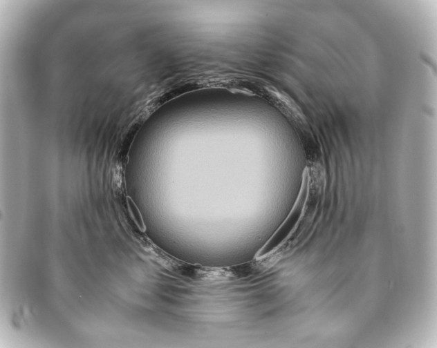 X0000094950621200712271658