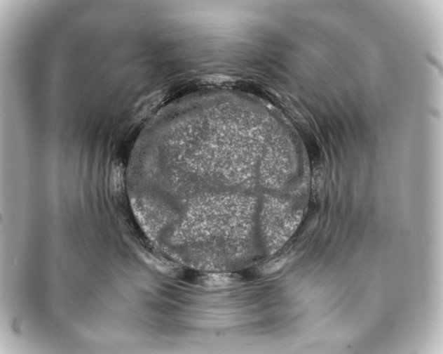 X0000094950623200712271658