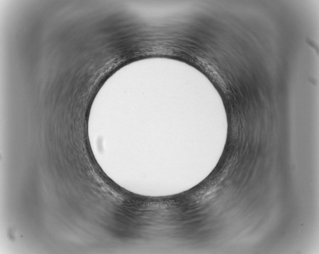 X0000094950625200712271658