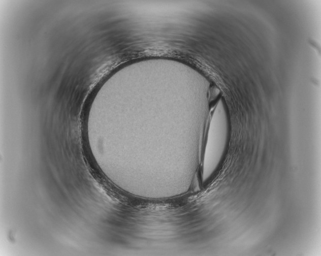 X0000094950626200712271658