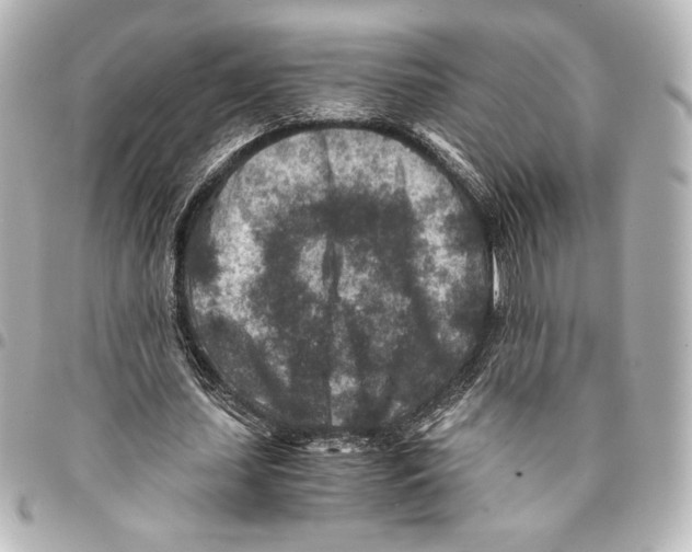 X0000094950627200712271658