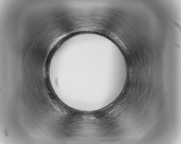 X0000094950628200712271658