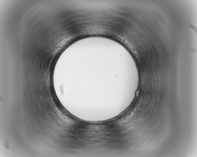 X0000094950629200712271658