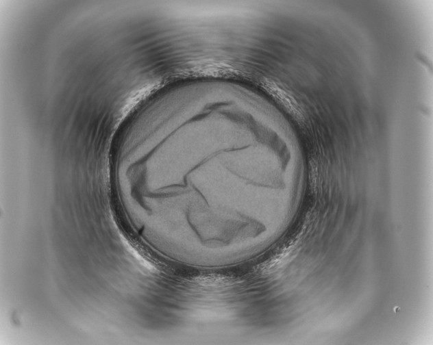 X0000094950630200712271658