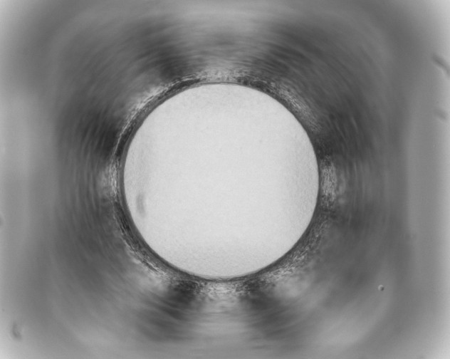 X0000094950632200712271658