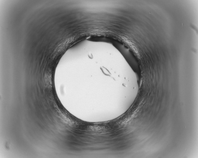 X0000094950633200712271658