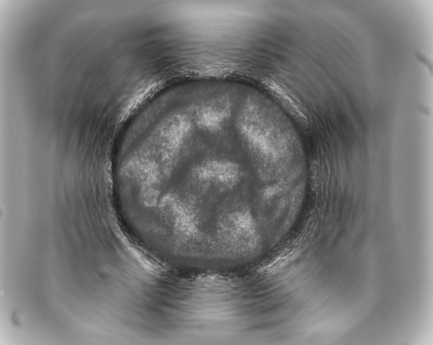 X0000094950634200712271658